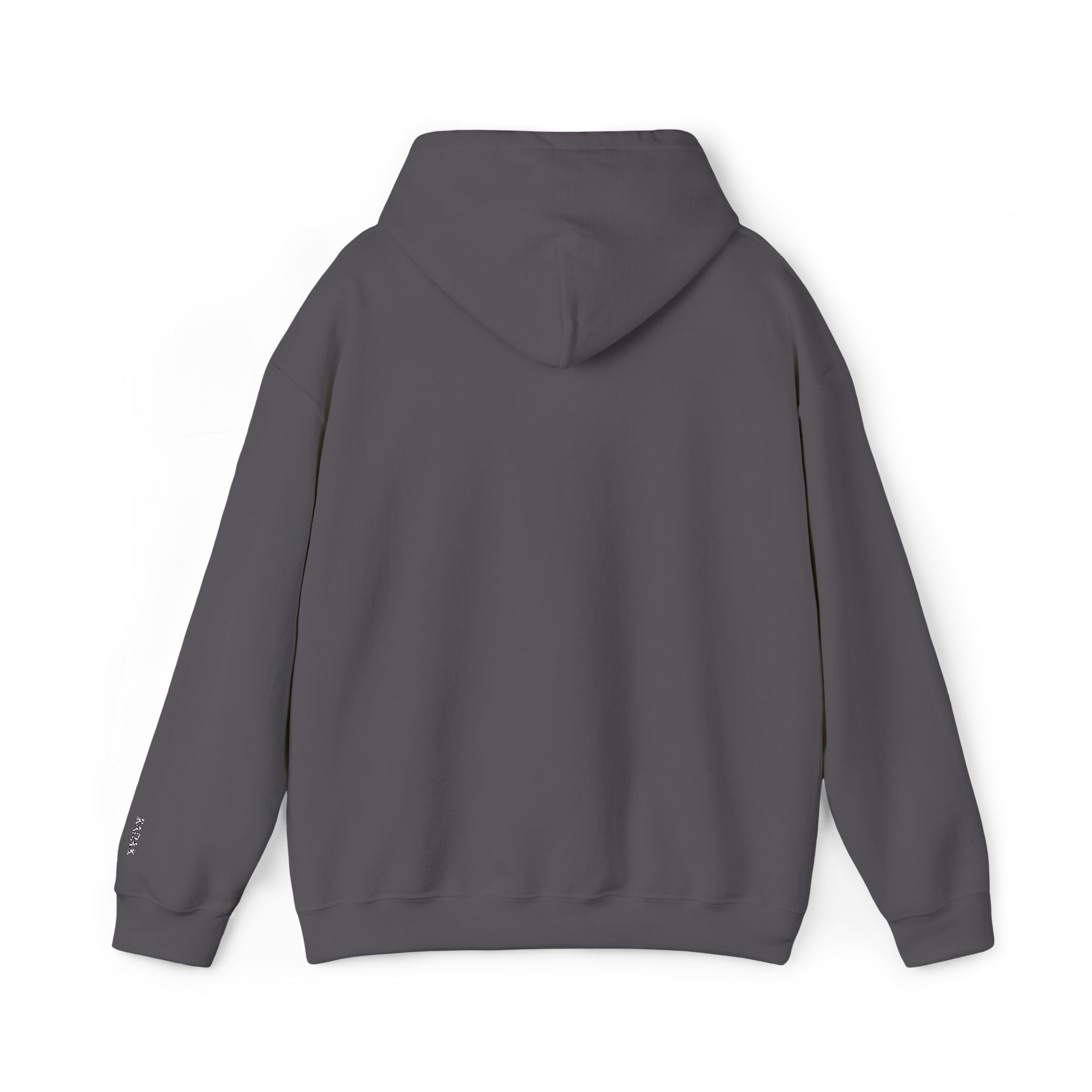 Spino Hoodie